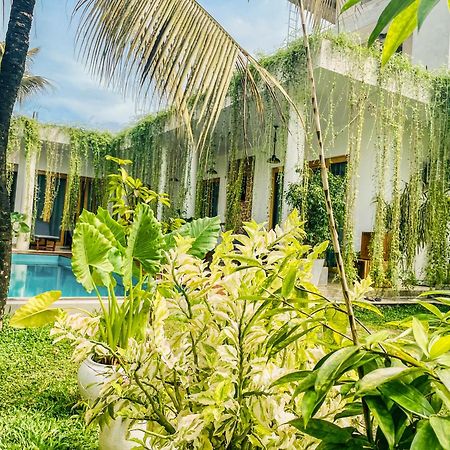 Eton Villa Dikwella Luaran gambar